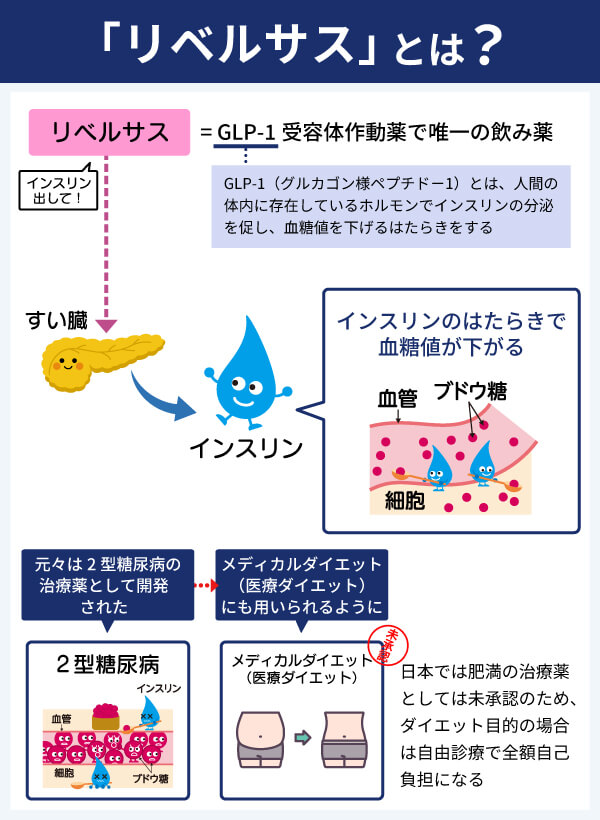 リベルサスとはどんな薬？