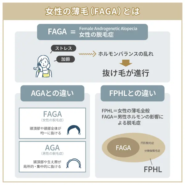 女性の薄毛（FAGA）とは