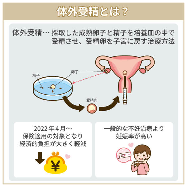 体外受精とは？体外で受精させる不妊治療