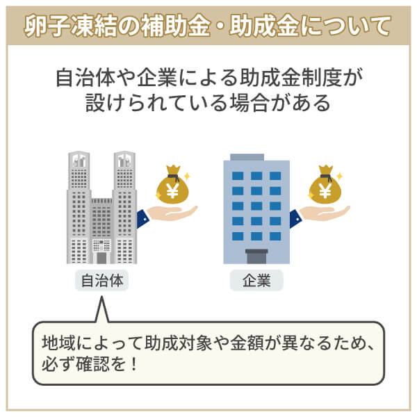 卵子凍結で利用できる補助金・助成金