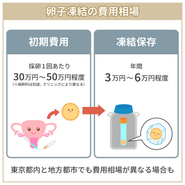 卵子凍結の費用相場