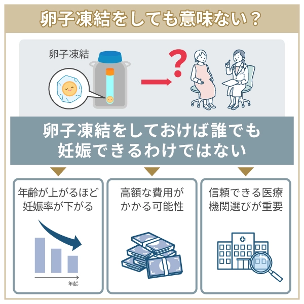 卵子凍結は本当に意味ない？失敗と成功の分かれ道