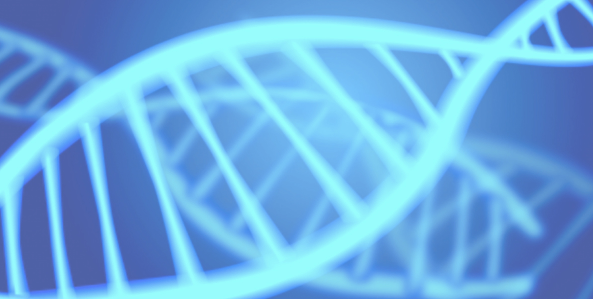 ERA検査のイメージ