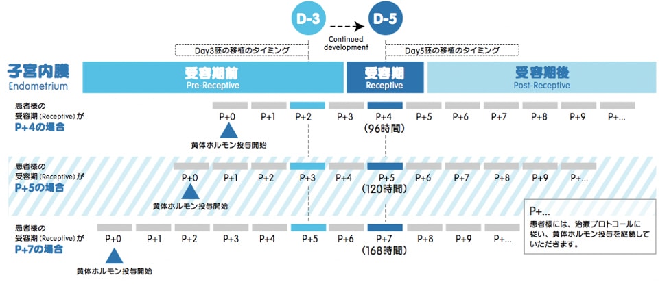 ERA検査のタイミング